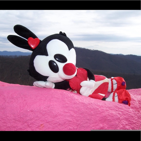 Meet your Posher, Dot! THIS LISTING NOT FOR SALE! - Picture 7 of 12